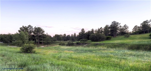 5805 Powell Road Parker Colorado, 80134 | Dream Home in Timbers