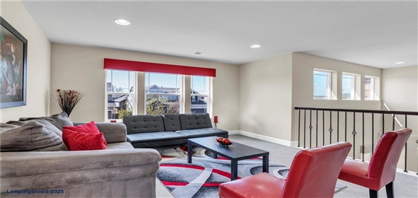 3421 E 143rd Drive Thornton Colorado, 80602 | Luxurious Single Family Home