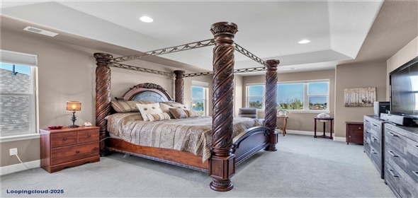 3421 E 143rd Drive Thornton Colorado, 80602 | Luxurious Single Family Home