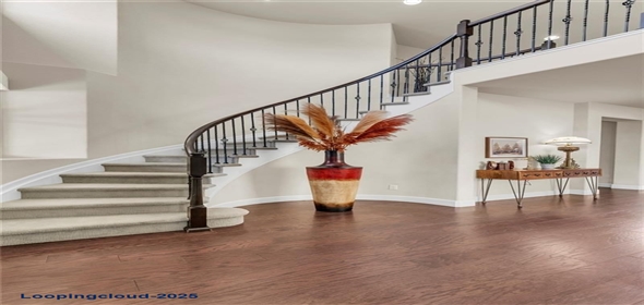 3421 E 143rd Drive Thornton Colorado, 80602 | Luxurious Single Family Home
