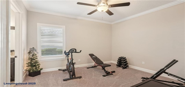 5203 RUSHMERE Court Palmetto Florida, 34221 | Elegant & Comfortable Single Family Residence