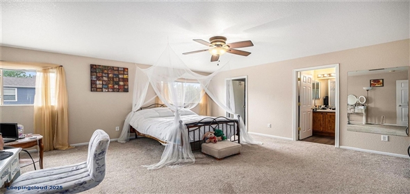 814 Pintail Avenue Brighton Colorado, 80601 | Exclusive House