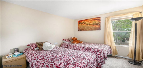 814 Pintail Avenue Brighton Colorado, 80601 | Exclusive House
