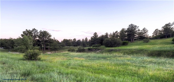 9728 Majestic Oak Drive Parker Colorado, 80134 | Exclusive Land For sale