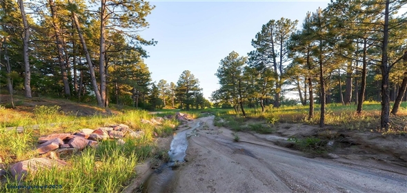 9728 Majestic Oak Drive Parker Colorado, 80134 | Exclusive Land For sale