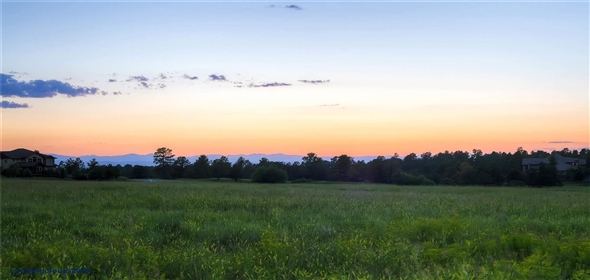 9728 Majestic Oak Drive Parker Colorado, 80134 | Exclusive Land For sale