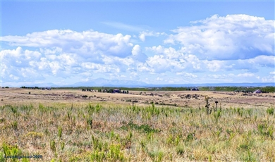 9728 Majestic Oak Drive Parker Colorado, 80134 | Exclusive Land For sale