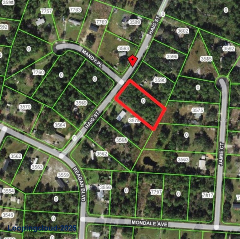 Land for Sale in LAKE WALES Florida 33898