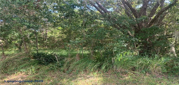 0 HAIG STREET, LAKE WALES Lake Wales Florida, 33898 | Agricultural Land