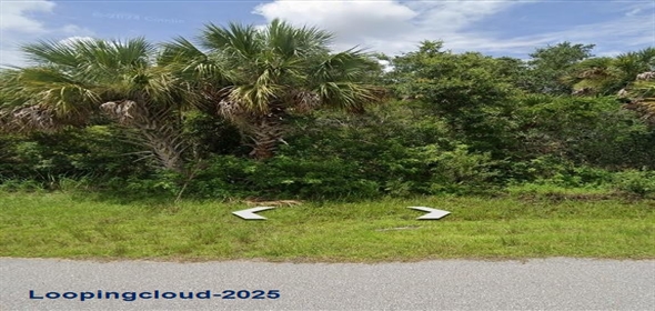 13068 DOUBLEDAY AVE Port Charlotte Florida, 33953 | Build Your Dream Home in West Port Charlotte!