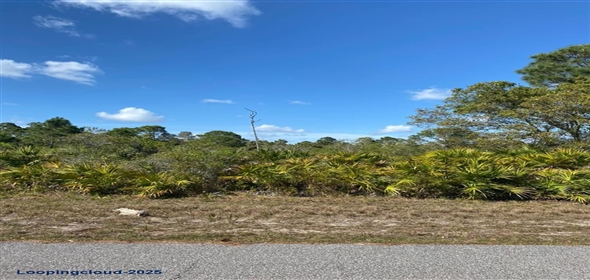 12166 ASHLEY AVE Port Charlotte Florida, 33981 | Build Your Dream Home Near the Water in Gulf Cove