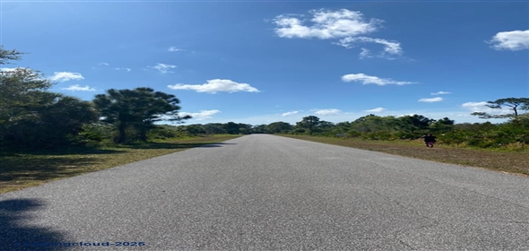 12166 ASHLEY AVE Port Charlotte Florida, 33981 | Build Your Dream Home Near the Water in Gulf Cove
