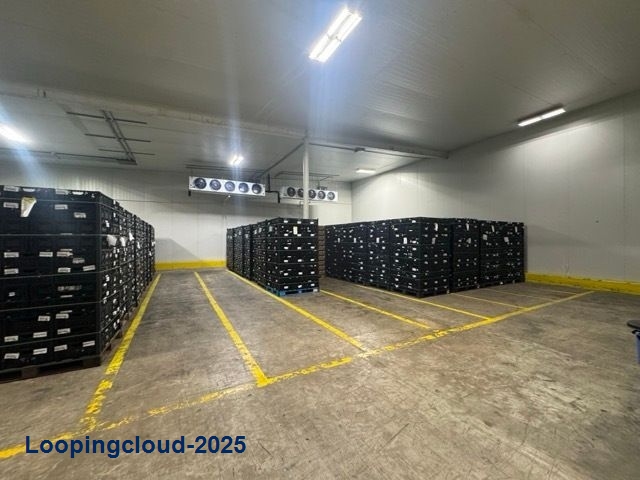 4805 North Expressway 281