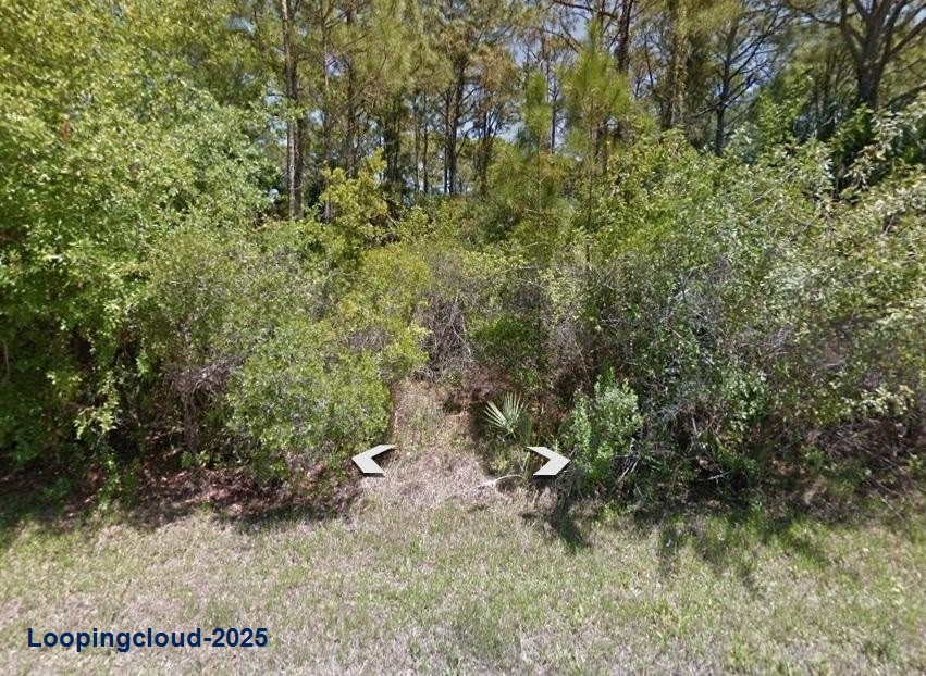 Prime Residential Lot in Peaceful West Port Charlotte