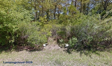 72 POMPANO ST , Port Charlotte Florida                                                                                              33953