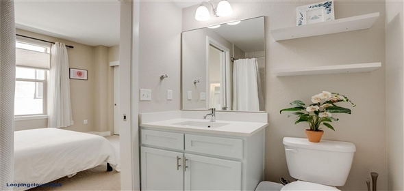 2426 Welton Street Denver Colorado, 80205 | Beautiful Home in Denver