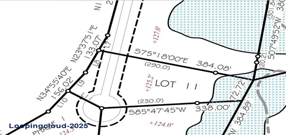 11 The Banks Dr #16, Franklinton, Franklinton Louisiana, 70438 | 1.21-Acre Lot with River Access