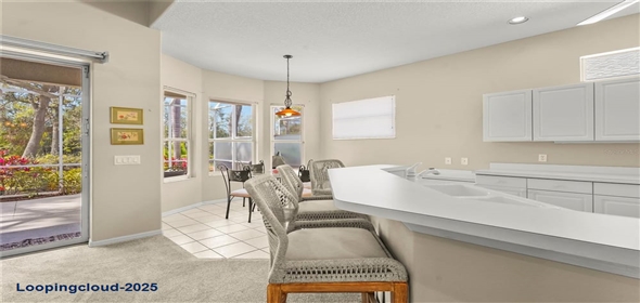 28 TALL TREES COURT Sarasota Florida, 34232 | Beautiful Gem in Sarasota