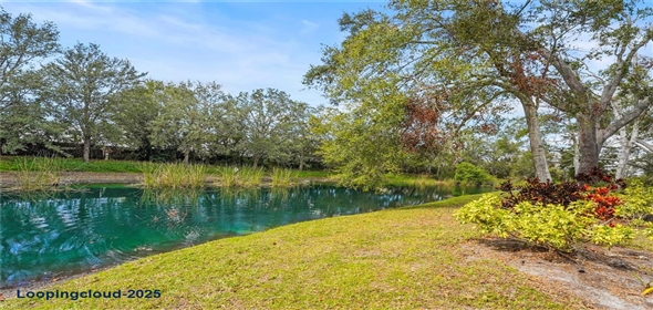 28 TALL TREES COURT Sarasota Florida, 34232 | Beautiful Gem in Sarasota