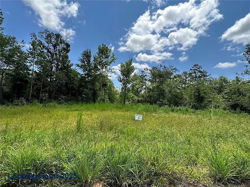 1-Acre Lot with River Access in Scenic Subdivision