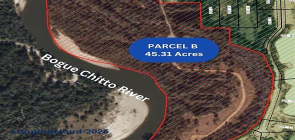 PARCEL Highway 16 #B, Franklinton Louisiana, 70438 | Premier 45.3-Acre Riverfront Parcel on Bogue Chitto – Ideal for Development
