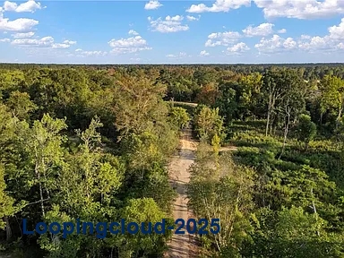 Premier 45.3-Acre Riverfront Parcel on Bogue Chitto – Ideal for Development