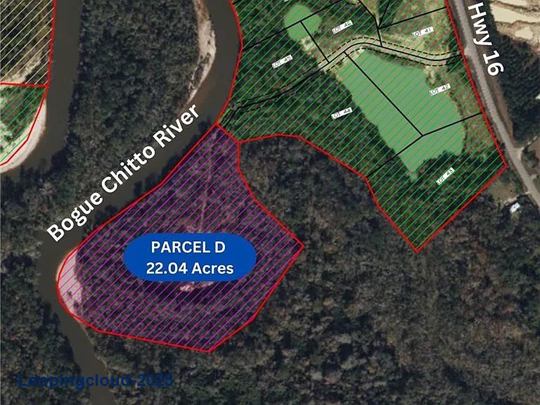 22.1 Acres with Over 2,200 Ft of River Frontage on Bogue Chitto – Parcel D