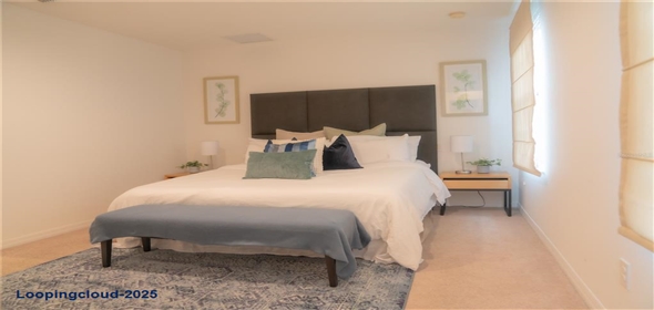 3006 RED GINGER ROAD Kissimmee Florida, 34747 | Modern Exclusive Home