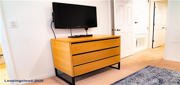 3006 RED GINGER ROAD Kissimmee Florida, 34747 | Modern Exclusive Home