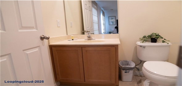 3006 RED GINGER ROAD Kissimmee Florida, 34747 | Modern Exclusive Home