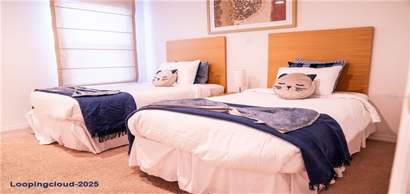 3006 RED GINGER ROAD Kissimmee Florida, 34747 | Modern Exclusive Home