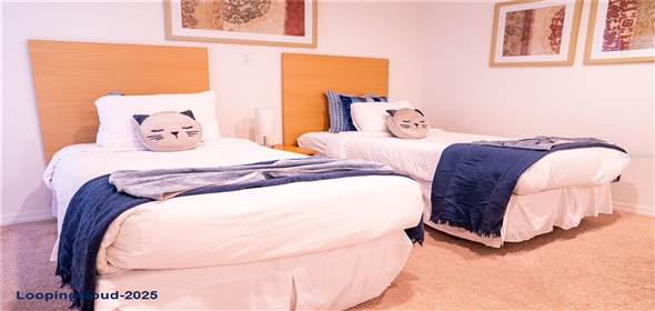 3006 RED GINGER ROAD Kissimmee Florida, 34747 | Modern Exclusive Home