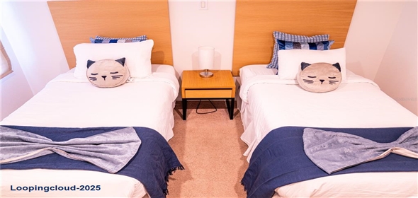 3006 RED GINGER ROAD Kissimmee Florida, 34747 | Modern Exclusive Home