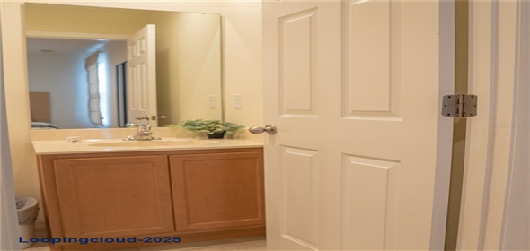 3006 RED GINGER ROAD Kissimmee Florida, 34747 | Modern Exclusive Home