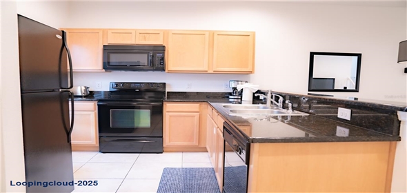 3006 RED GINGER ROAD Kissimmee Florida, 34747 | Modern Exclusive Home