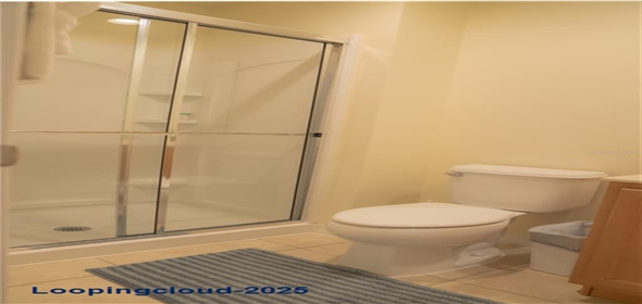 3006 RED GINGER ROAD Kissimmee Florida, 34747 | Modern Exclusive Home