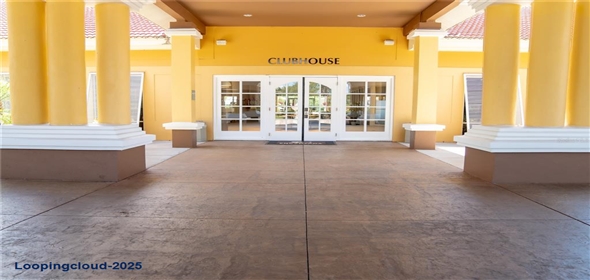 3006 RED GINGER ROAD Kissimmee Florida, 34747 | Modern Exclusive Home