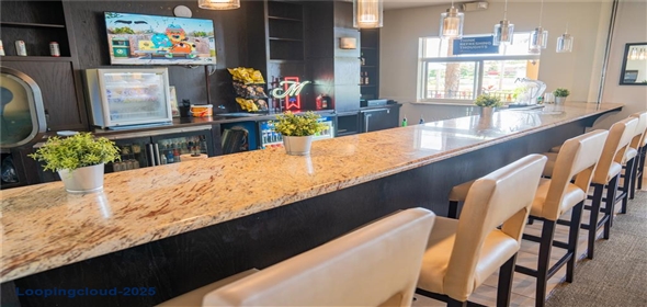 3006 RED GINGER ROAD Kissimmee Florida, 34747 | Modern Exclusive Home