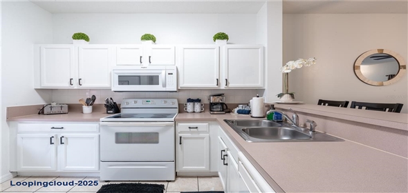 1118 PARK RIDGE CIRCLE Kissimmee Florida, 34746 | Beautiful Townhouse