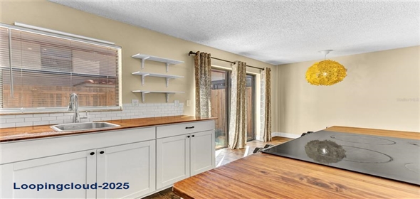 1631 LITTLE FALLS CIR # 92 Orlando Florida, 32807 | Completely Remodeled Home