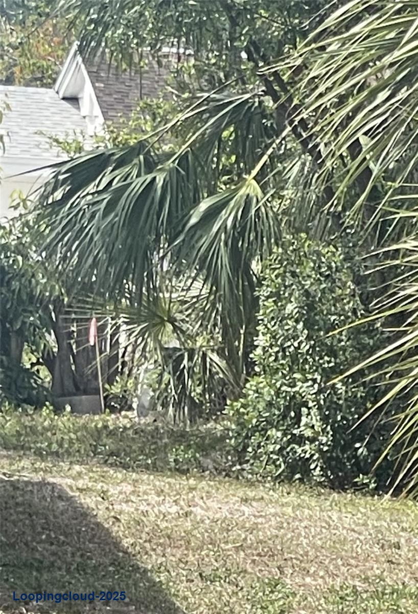 Build Your Dream Home in Whitfield Estates – Prime Sarasota Lot with Owner Financing!
