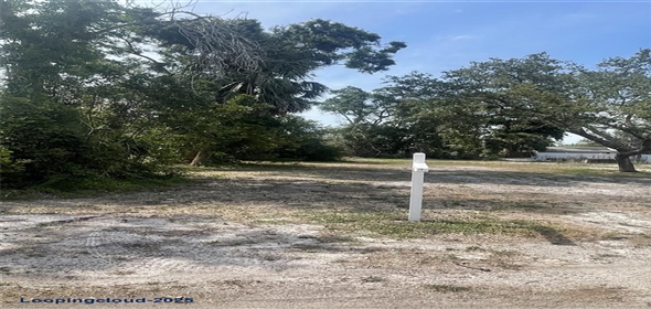 JUNGLE WAY, Sarasota Florida, 34243 | Build Your Dream Home in Whitfield Estates – Prime Sarasota Lot with Owner Financing!