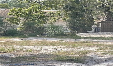 JUNGLE WAY, Sarasota Florida, 34243 | Build Your Dream Home in Whitfield Estates – Prime Sarasota Lot with Owner Financing!