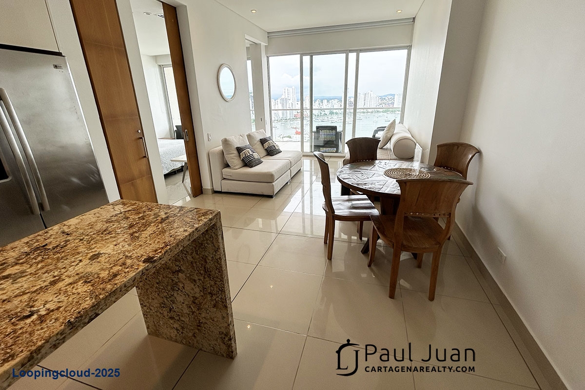 Luxury Apartment