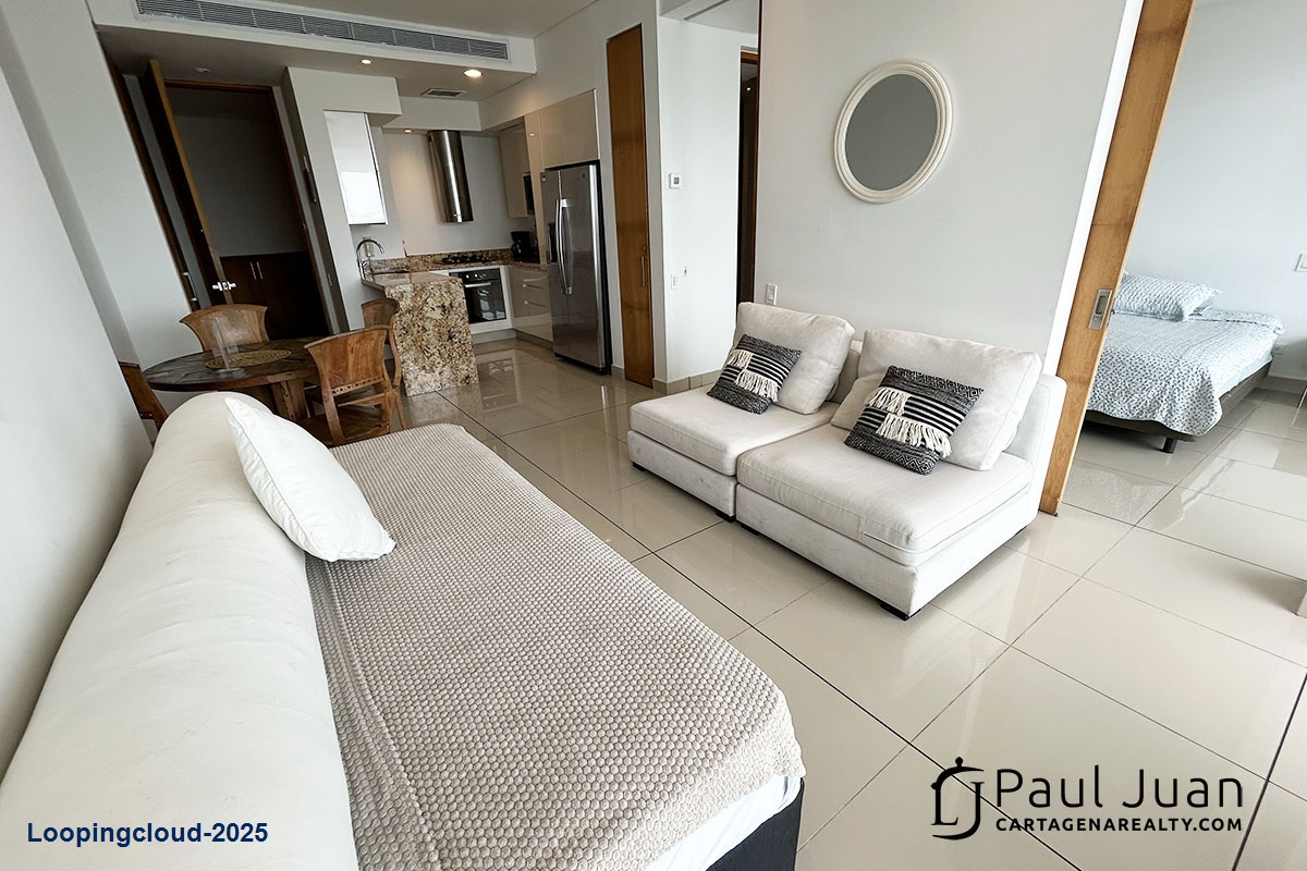 Luxury Apartment