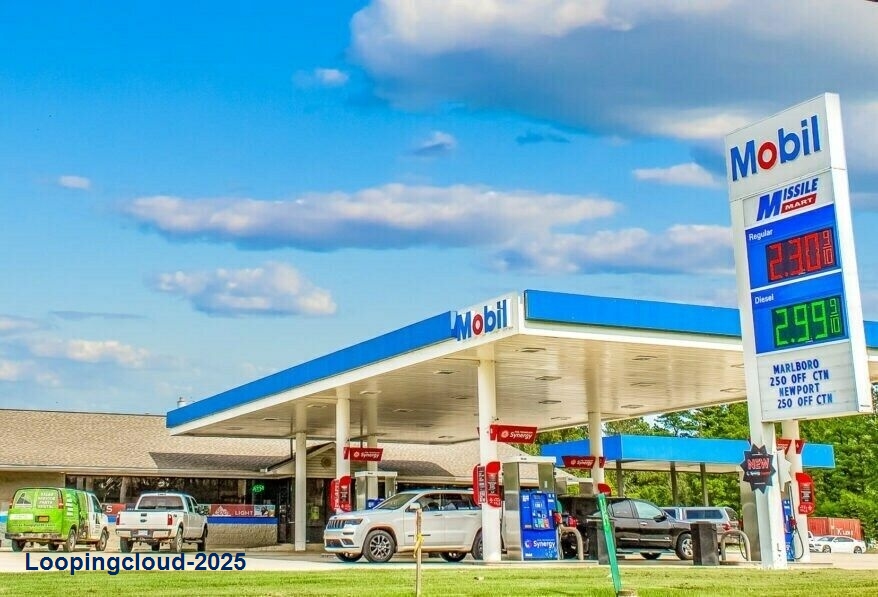 (7.3% CAP RATE) LAKELAND MOBIL W/ GO MARKET C-STORE (20-YEAR NNN LEASE)!