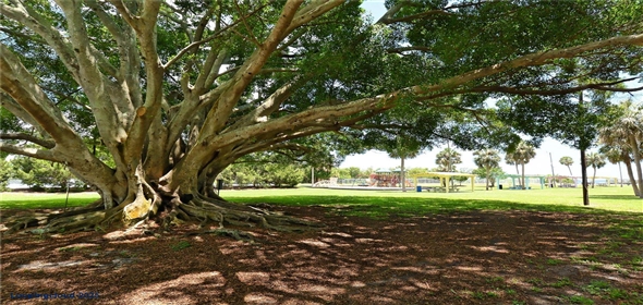1212 PRINCETON AVE Bradenton Florida, 34207 | Ideal Home in the heart of Bradenton's Bayshore Gardens