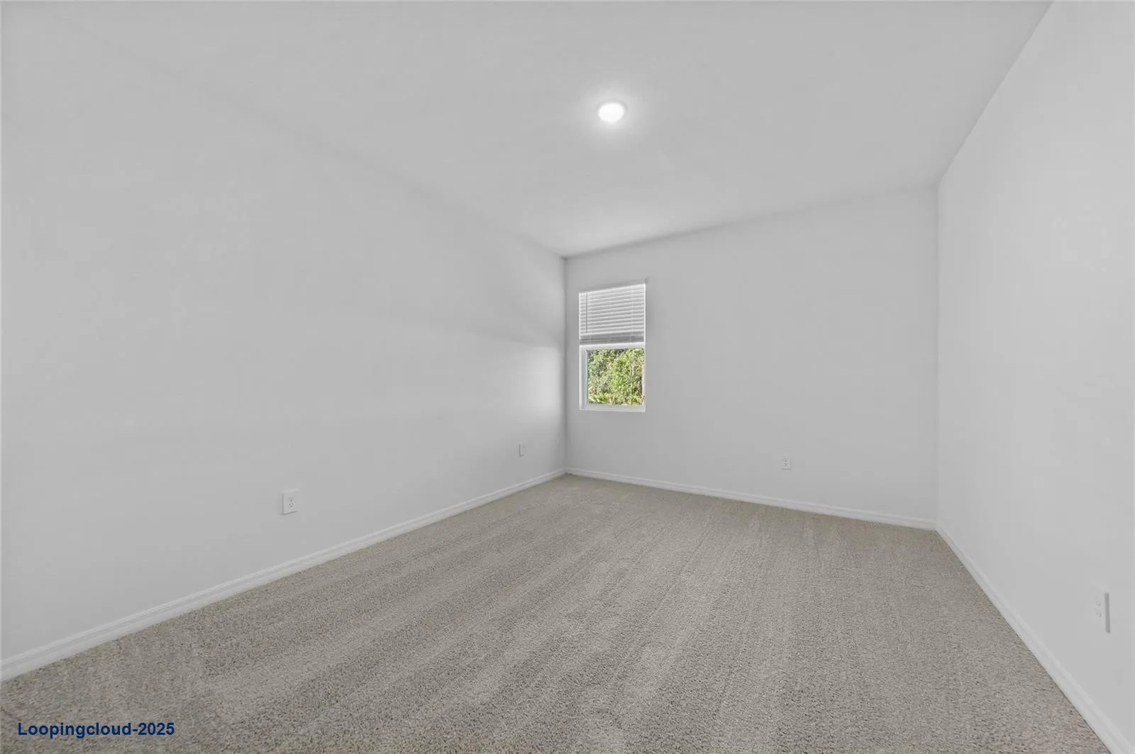 Exclusive Single Family Home