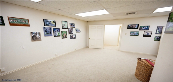 721 W Division St Arlington Texas, 76012 | 721 W Division St