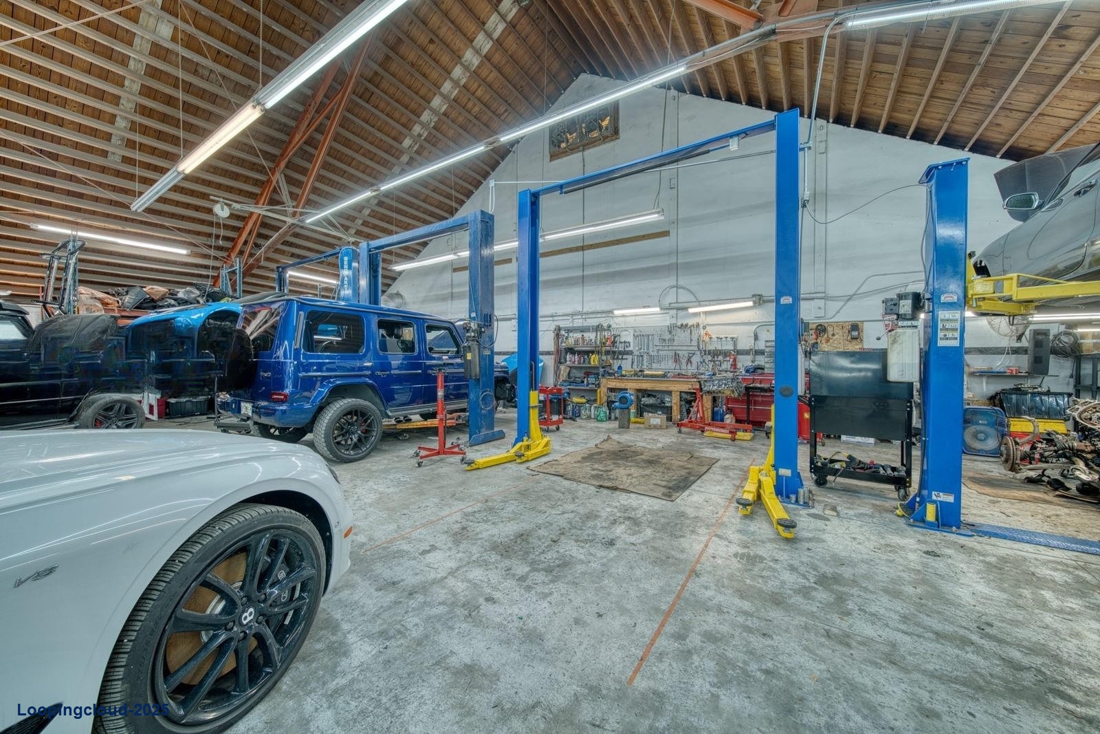 Automotive Professional Services